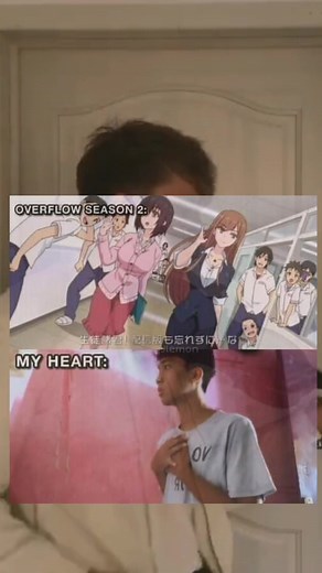 Exploring the World of Overflow with Memes