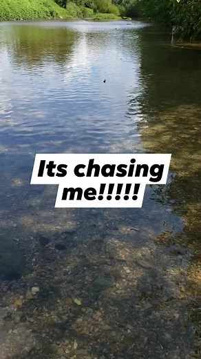 1.7M views · 4.6K reactions | See full vids https://youtube.com/c/ExploringAlabama #magnetfishing #reels #relics #trending #magnet #exploringalabama #Alabama #metaldetecting #explore #exploringtheglobe | Exploring Alabama | Facebook