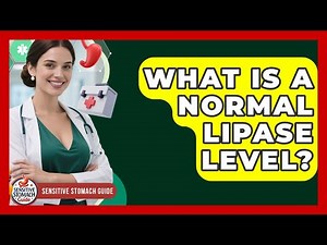 What Is A Normal Lipase Level? - Sensitive Stomach Guide