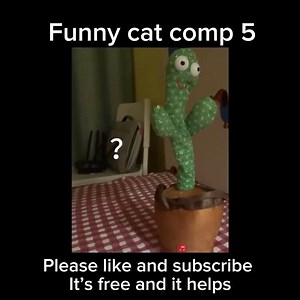 Funny cat compilation 5 #cats
