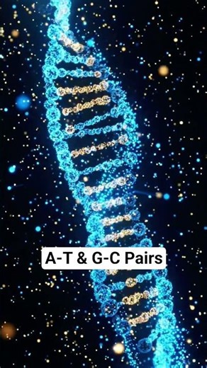 The Secret Code Inside You! 🧬 | ICSE Bio Lab