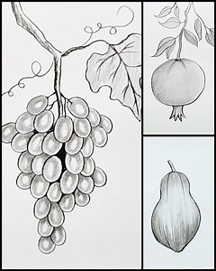 23K views · 907 reactions | Easy and simple fruits drawing ideas | Drawing Book | Facebook