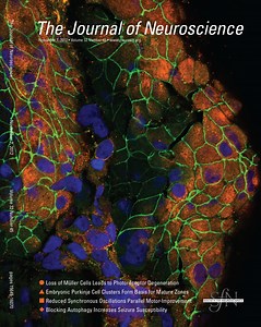 Neural Synchronization during Face-to-Face Communication