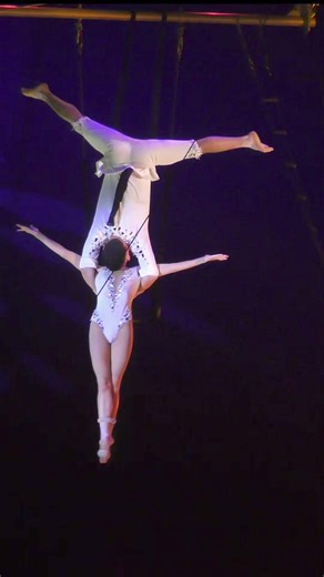 Duo Desire - aerial act - performed in Monte Carlo in 2024 ✨️ #circus #circusvideo | Circus video
