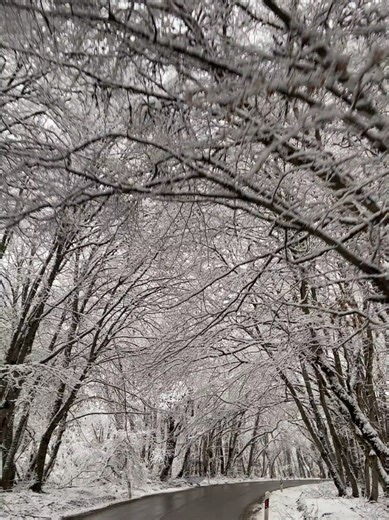 El Invierno de Vivaldi: Un Viaje Musical