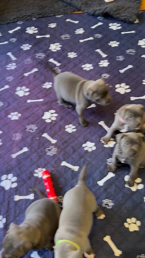 114K views · 20K reactions | Garrison is totally working me over for...