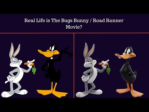 The Bugs Bunny / Road Runner Movie Characters in Real Life | AI Transformation 🐰💨🎬