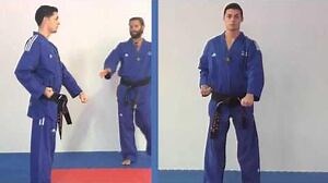 Tae Kwon Do - low block