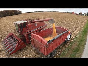 Father & Daughter Corn Harvesting - 1982 International 1440 Axial Flow - John Deere Neighbor - 5K