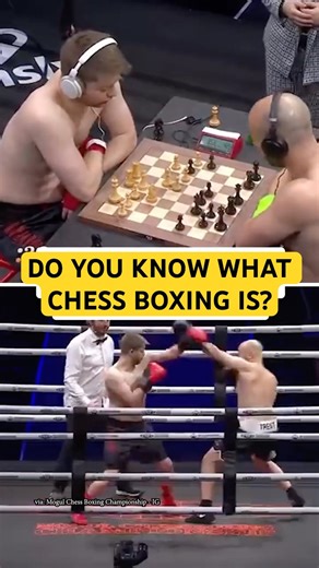 How do parlays for Chess Boxing work tho? 👀