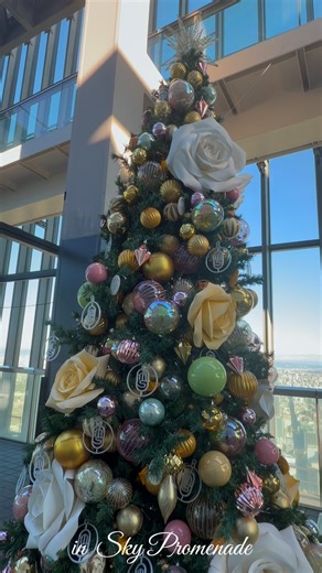 スカイプロムナード/Sky Promenade on Instagram: ". ゆったり過ごせる屋外展望台スカイプロムナードで 今年のクリスマスを堪能しにお越しください✨🎄 #名古屋旅行 #展望台 #クリスマスツリー #デートスポット #クリスマス #フォトスポット #名古屋 #名古屋デート #名古屋駅 #名古屋観光 #日本 #絶景 #aichi #skypromenade #nagoya #christmas2024 #landscape #photo #ig_japan #해외여행 #일본 #일본여행 #일본관광 #여행스냅 #여행스타그램 #日本旅游 #網美景點 #風景攝影 #必去景點 #景點"