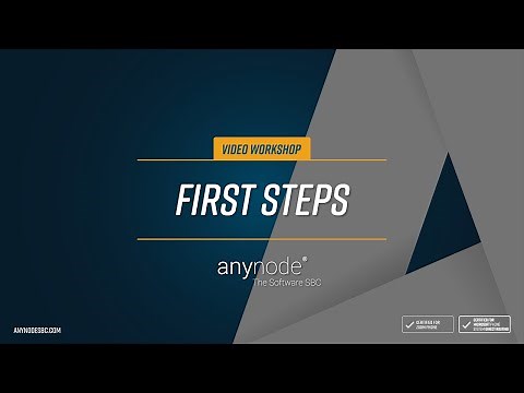 anynode 01 - First Steps