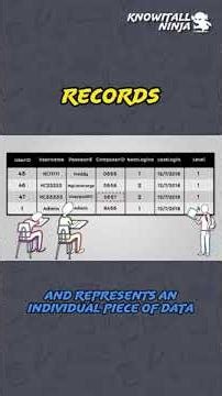 Decoding Programming Records:
