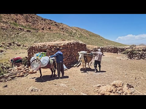 Nomads' Trek: A Spectacular Mountain Migration