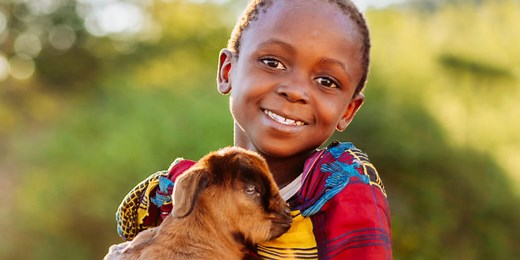 Animals & Agriculture