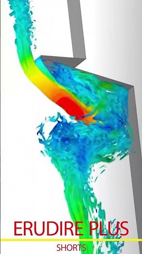 SolidWorks Free Surface | ERUDIRE PLUS SHORTS