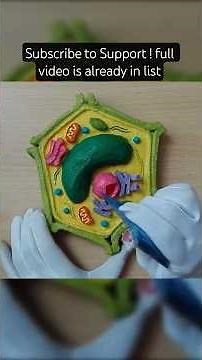 DIY Plant cell Model #art #diy #model #handmade