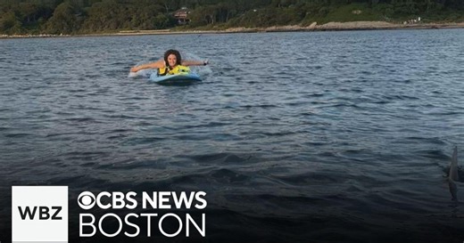 Great white shark spotted next to paddleboarders off Cape Cod beach