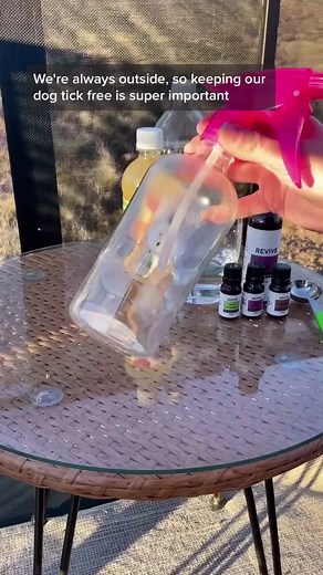 DIY Flea & Tick Spray for Your Dog #essentialoildiys #goREVIVE #essentialoiluses #essentialoils #diyhack