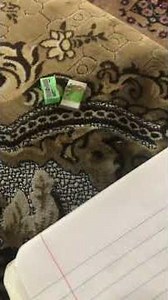 Face tut!! For beginners!