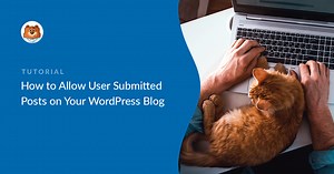 How to Accept User-Submitted Posts in WordPress [Easy Guide]