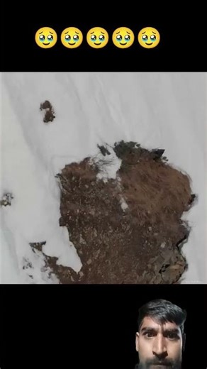 #facts #animals #trending