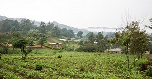 Interview: Stoking Fires in Cameroon