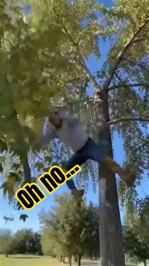 Tree Shake Gone Wrong 😂🌳 #Fail #Viral #Shorts