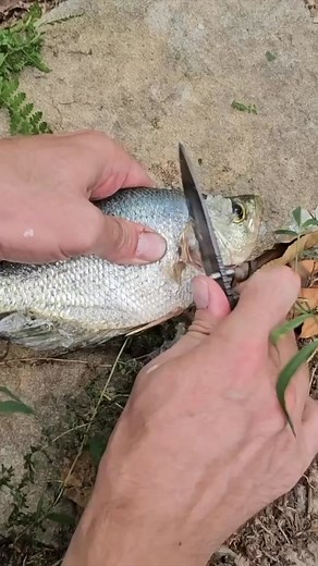 Catch and Cook Crappie and Bluegill-002 | Connie McCall