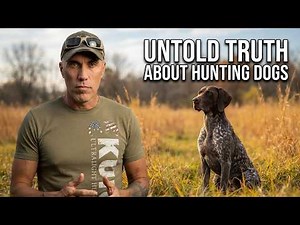 Hunting Dogs: What They Don't Teach You