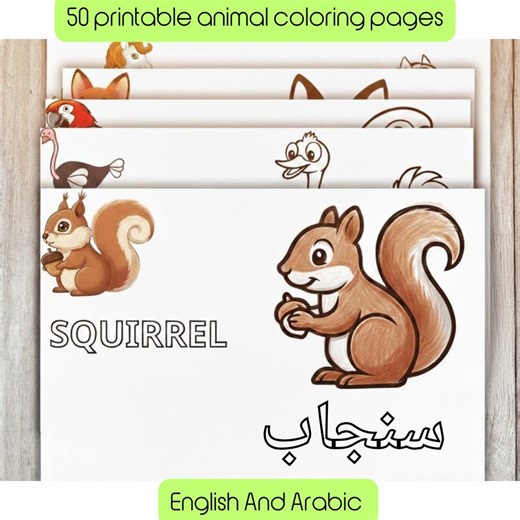 Animal Coloring Pages, English Arabic, Toddler Activity (digital Download PDF) - Etsy