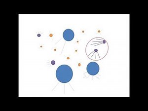 Dynamic Light Scattering