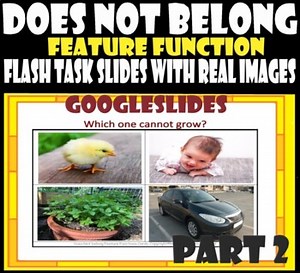 What Does Not Belong–Feature Function-Task Slides- Real Images Pt2. GOOGLESLIDES