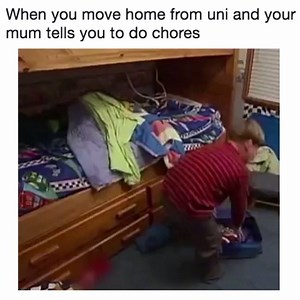 Everything Student on Reels