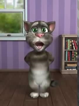 toyor al janah toyor baby القط توم حميدو الولد الشقي طيور بيبي 2013
