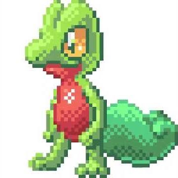 A green and red angry lizard looking at something