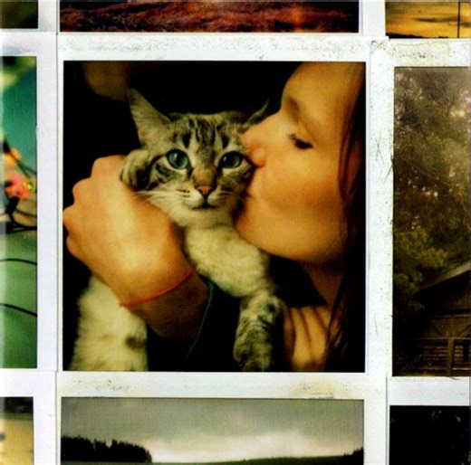 Cocoon - My Friends All Died In A Plane Crash