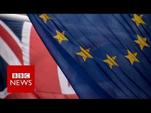 EU referendum: What is it? BBC News