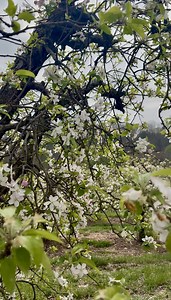 115K views · 2.9K reactions | Cold weather is making us dream of...