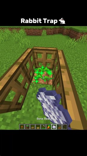 Minecraft Rabbit Trap