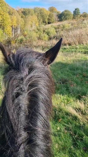 4.5K views · 171 reactions | Jarnail was trying to get in touch with...