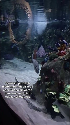 Bitte wunder dich nicht und frag mich nicht.. #edit #med1nchen #tiktokviral #dontaskme