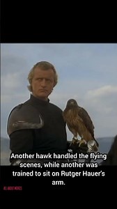 Ladyhawke’s Real-Life Animal Secret 🦅
