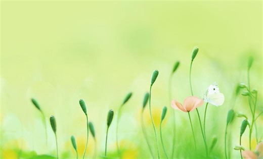 R语言与生物信息出版级绘图（第四节：ggplot2绘图原理）