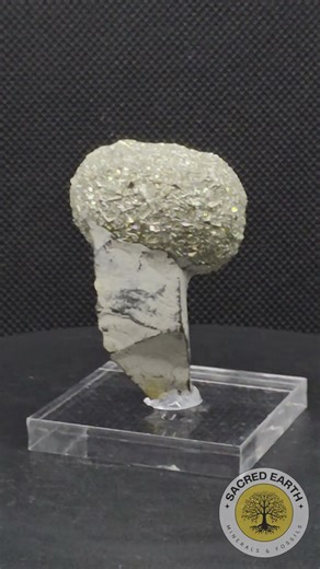 Sparkling Pyrite Concretion from Morocco | A Stunning Natural Mineral Formation