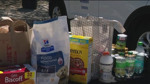 Dallas Love Field Airport collecting donations to help federal workers amid partial shutdown | Haystack News