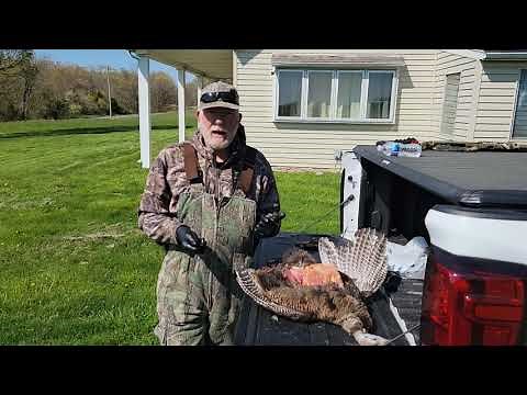 How To Field Dress a Spring Turkey
