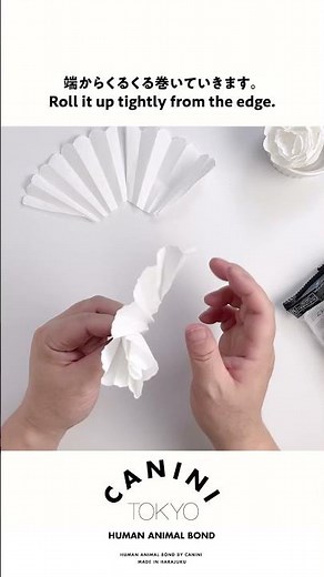 手作り加湿器で乾燥対策！コーヒーフィルターで作る簡単DIY方法とその効果加湿器　DIY Coffee Filter Humidifier: Simple and Effective #加湿器