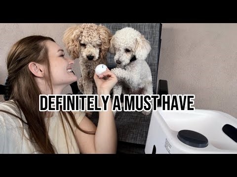 Automatic Dog Ball Launcher with Barking Function, Dual Modes (Auto/Manual) Interactive Dog Fetch To