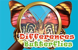 Play Differences Butterflies | Free Online  Games. KidzSearch.com